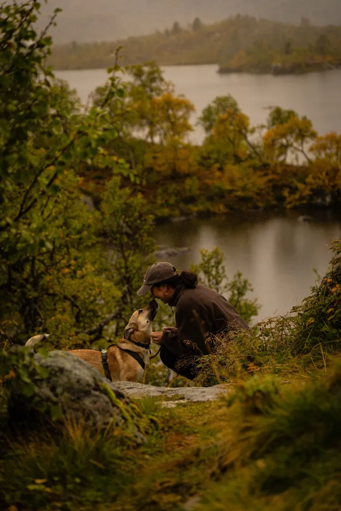 Mit Hund am See – Beratung in der Natur